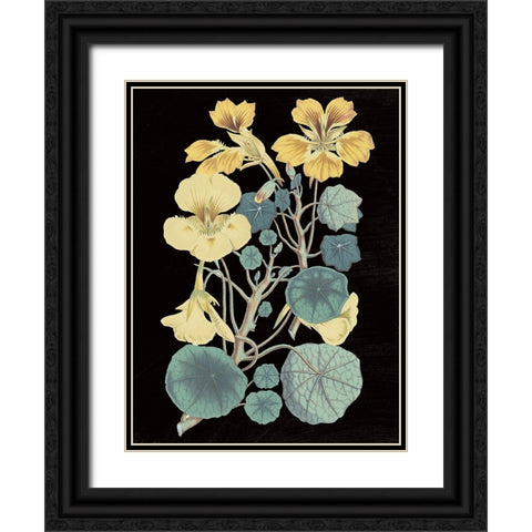 Antique Botanical XVII Cool on Black Black Ornate Wood Framed Art Print with Double Matting by Wild Apple Portfolio