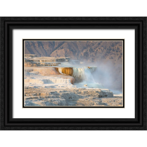 Terraces of Canary Spring Black Ornate Wood Framed Art Print with Double Matting by Majchrowicz, Alan