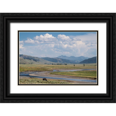 Lamar Valley Bison Black Ornate Wood Framed Art Print with Double Matting by Majchrowicz, Alan