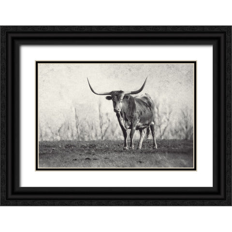 A Texas Longhorn Black Ornate Wood Framed Art Print with Double Matting by Van Swearingen, Debra