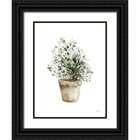 Potted Herbs Black Ornate Wood Framed Art Print with Double Matting by Pete, Katrina