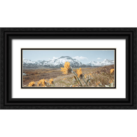 Crop Black Ornate Wood Framed Art Print with Double Matting by Larson, Nathan
