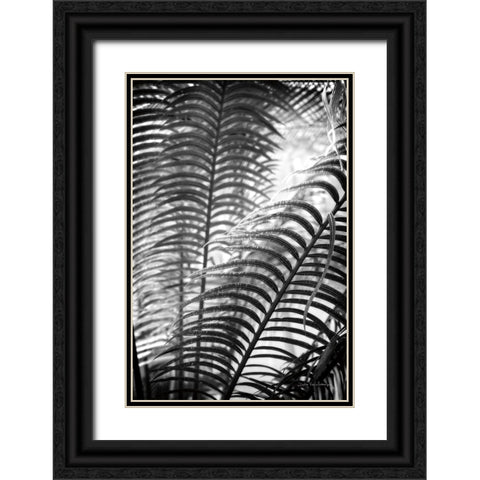 Sunlit Palms II Black Ornate Wood Framed Art Print with Double Matting by Van Swearingen, Debra