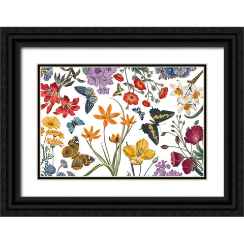 Butterfly Garden VI Black Ornate Wood Framed Art Print with Double Matting by Portfolio, Wild Apple