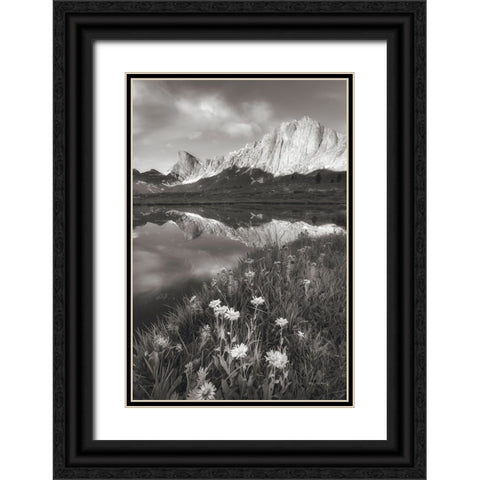 Pronghorn and Dragon Head Peaks BW Black Ornate Wood Framed Art Print with Double Matting by Majchrowicz, Alan