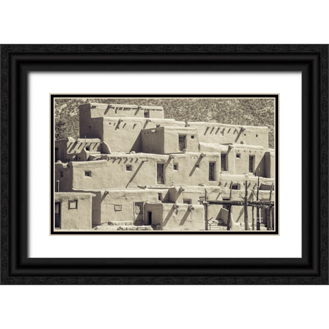 Summer Shadows Black Ornate Wood Framed Art Print with Double Matting by Larson, Nathan