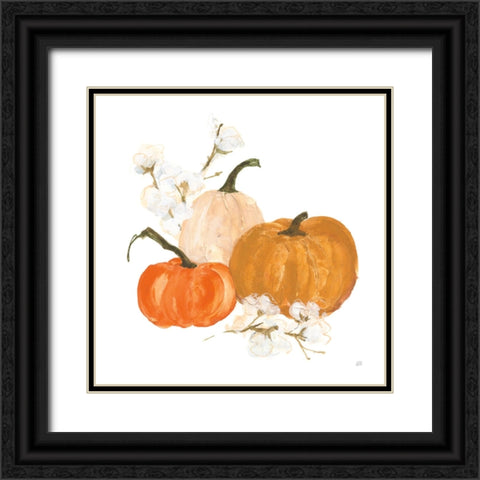 Pumpkins and Cotton II Black Ornate Wood Framed Art Print with Double Matting by Paschke, Chris