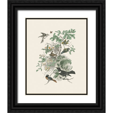 Honeybloom Bird II Black Ornate Wood Framed Art Print with Double Matting by Wild Apple Portfolio