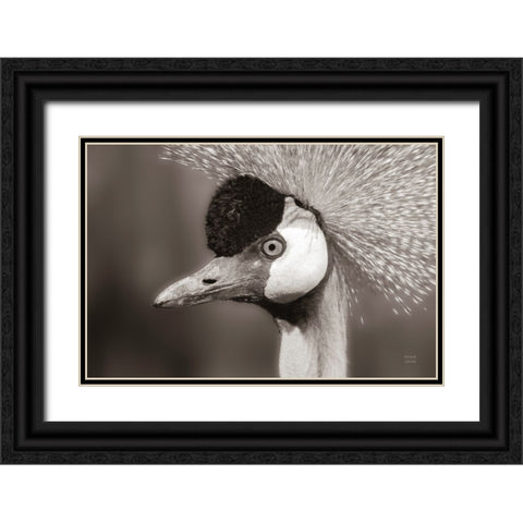 Sepia Black Ornate Wood Framed Art Print with Double Matting by Larson, Nathan