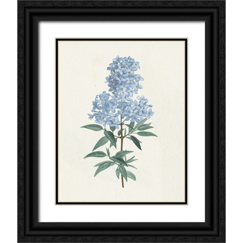 Victorian Garden Flowers III Blue Black Ornate Wood Framed Art Print with Double Matting by Wild Apple Portfolio