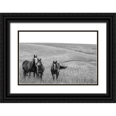 Montana Moves v2 Black Ornate Wood Framed Art Print with Double Matting by Larson, Nathan