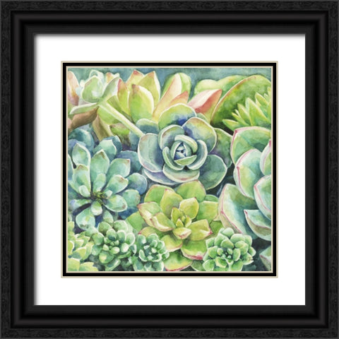 Succulents Black Ornate Wood Framed Art Print with Double Matting by Trimbach, Leslie