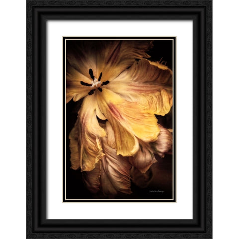 Tulip Detail I Black Ornate Wood Framed Art Print with Double Matting by Van Swearingen, Debra