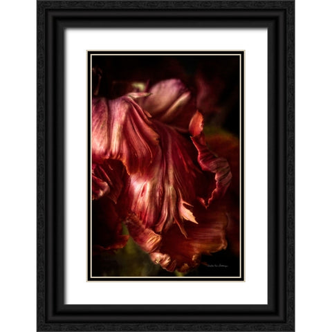 Tulip Detail III Black Ornate Wood Framed Art Print with Double Matting by Van Swearingen, Debra