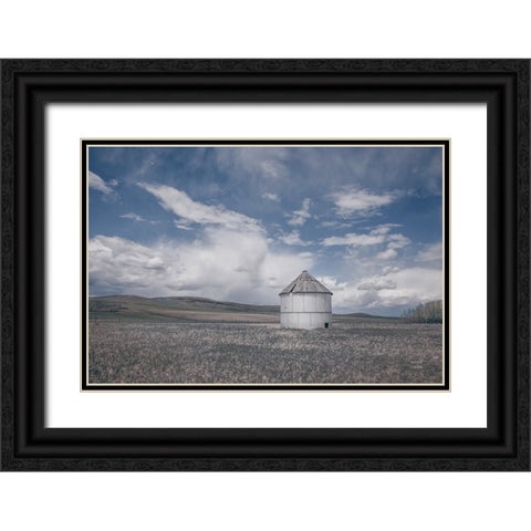 Sunny Pastures Black Ornate Wood Framed Art Print with Double Matting by Larson, Nathan