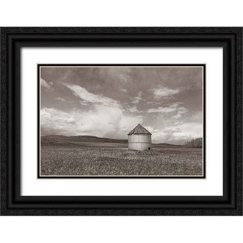Sunny Pastures BW Black Ornate Wood Framed Art Print with Double Matting by Larson, Nathan