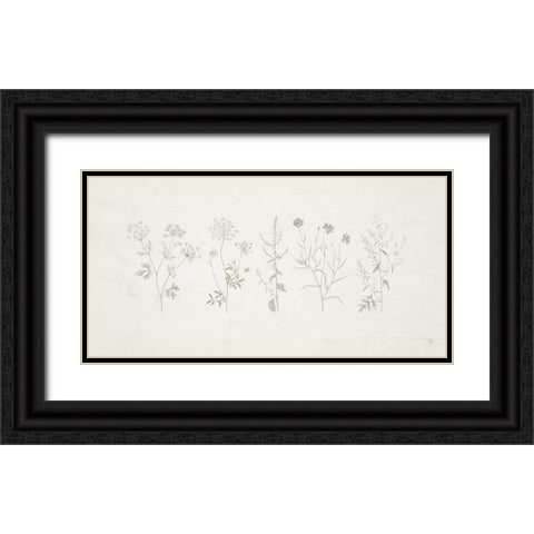 Gifts from the Meadow  I Black Ornate Wood Framed Art Print with Double Matting by Adams, Sarah
