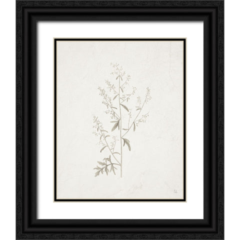 Gifts from the Meadow II Black Ornate Wood Framed Art Print with Double Matting by Adams, Sarah