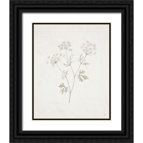 Gifts from the Meadow IV Black Ornate Wood Framed Art Print with Double Matting by Adams, Sarah