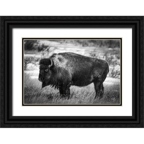 Solitary BW Black Ornate Wood Framed Art Print with Double Matting by Larson, Nathan