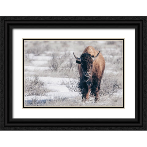 Bison Beauty Black Ornate Wood Framed Art Print with Double Matting by Larson, Nathan