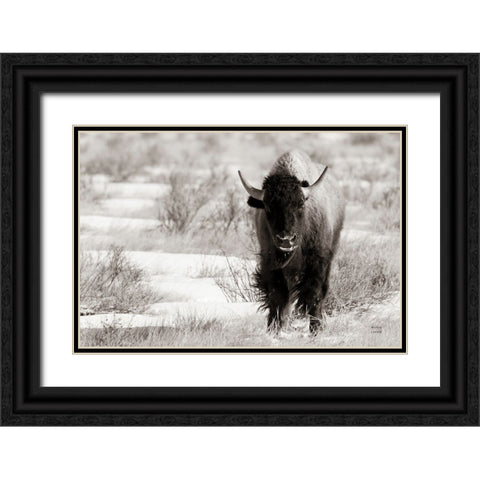 Bison Beauty BW Black Ornate Wood Framed Art Print with Double Matting by Larson, Nathan