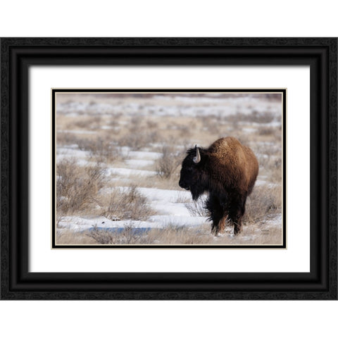 Lookout Black Ornate Wood Framed Art Print with Double Matting by Larson, Nathan