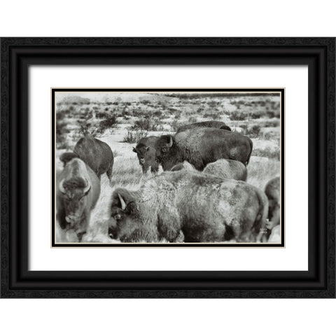 Open Range I Black Ornate Wood Framed Art Print with Double Matting by Larson, Nathan