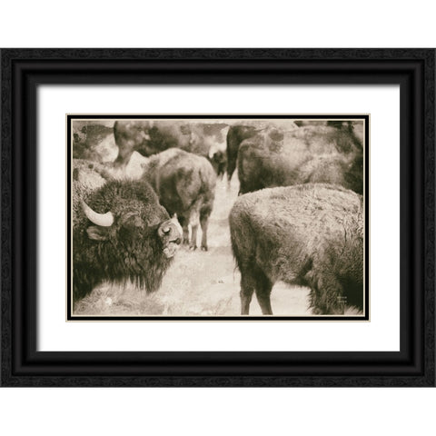 Open Range II Black Ornate Wood Framed Art Print with Double Matting by Larson, Nathan