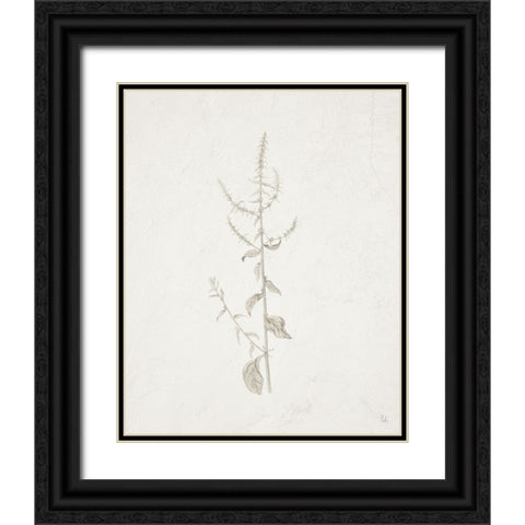 Gifts from the Meadow VI Black Ornate Wood Framed Art Print with Double Matting by Adams, Sarah