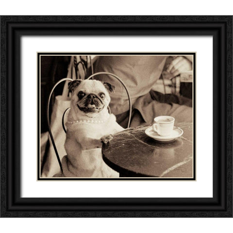 Cafe Pug Black Ornate Wood Framed Art Print with Double Matting by Dratfield, Jim