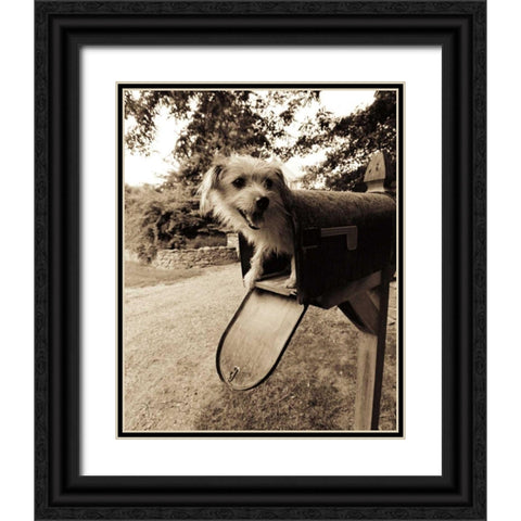 You ve got mail Black Ornate Wood Framed Art Print with Double Matting by Dratfield, Jim