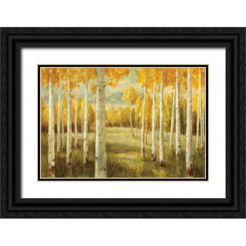 Aspens Black Ornate Wood Framed Art Print with Double Matting by Nai, Danhui