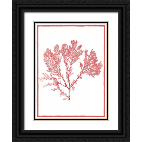 Sea Things I Black Ornate Wood Framed Art Print with Double Matting by Chilton, Sarah E