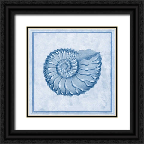 Blue Nautilus C Black Ornate Wood Framed Art Print with Double Matting by Chilton, Sarah E