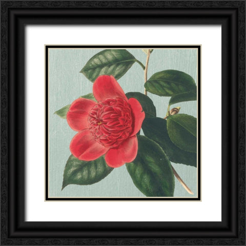 Peony Black Ornate Wood Framed Art Print with Double Matting by Chilton, Sarah E