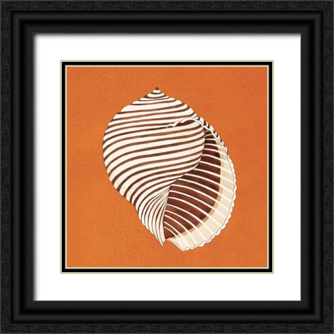 Cayman Quartet A Black Ornate Wood Framed Art Print with Double Matting by Shelby, Judy