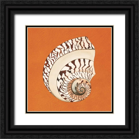 Cayman Quartet B Black Ornate Wood Framed Art Print with Double Matting by Shelby, Judy
