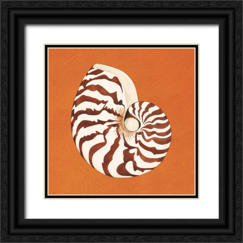 Cayman Quartet C Black Ornate Wood Framed Art Print with Double Matting by Shelby, Judy