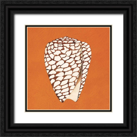 Cayman Quartet D Black Ornate Wood Framed Art Print with Double Matting by Shelby, Judy