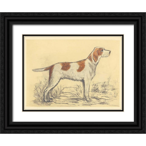 Hunting Dogs-Griffon Black Ornate Wood Framed Art Print with Double Matting by Collot, Andres
