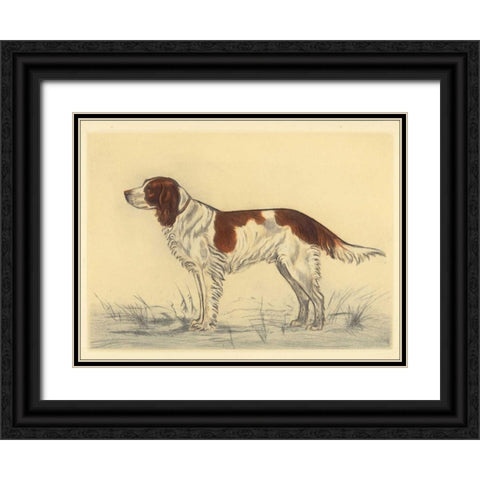 Hunting Dogs-Spaniel Black Ornate Wood Framed Art Print with Double Matting by Collot, Andres