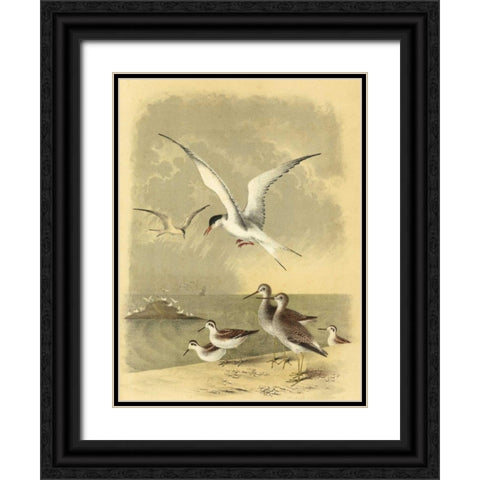 Coastal Dwellers I Black Ornate Wood Framed Art Print with Double Matting by Steele, Horace