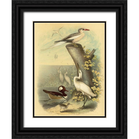 Coastal Dwellers II Black Ornate Wood Framed Art Print with Double Matting by Steele, Horace