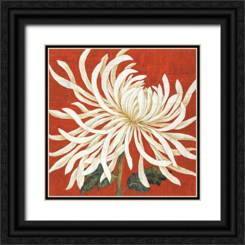 Spider Mum I Black Ornate Wood Framed Art Print with Double Matting by Shelby, Judy