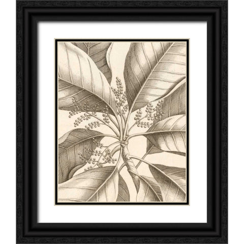 Tropical Connection II Black Ornate Wood Framed Art Print with Double Matting by Van Houtte, Louis