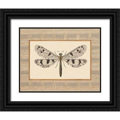 Delicate Dancer III Black Ornate Wood Framed Art Print with Double Matting by Chilton, Sarah E