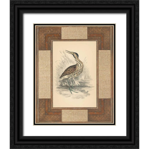 Marshland Bittern Black Ornate Wood Framed Art Print with Double Matting by Reynolds, Alastair