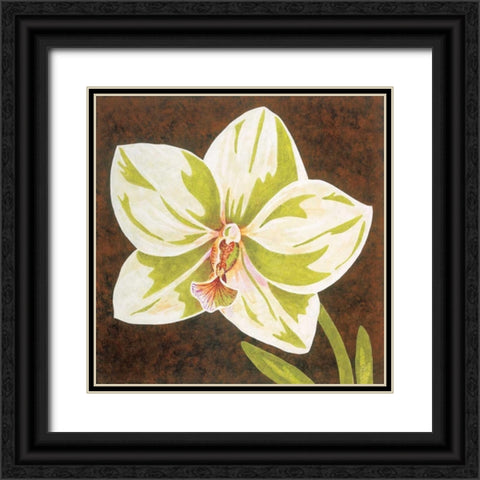 Surabaya Orchid Petites B Black Ornate Wood Framed Art Print with Double Matting by Shelby, Judy