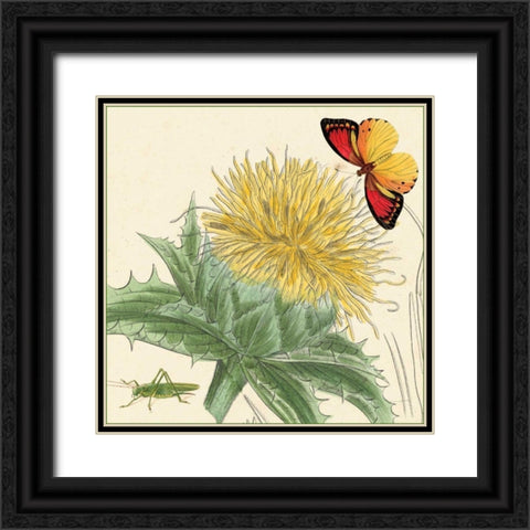 Star Thistle Black Ornate Wood Framed Art Print with Double Matting by van Houtte, Louis